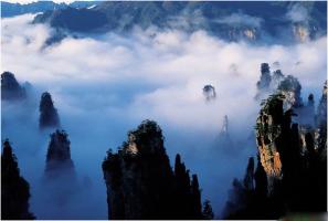 Zhangjiajie National Forest View